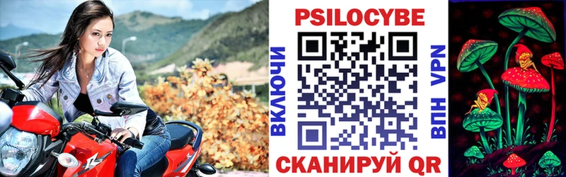 Галлюциногенные грибы Psilocybine cubensis Нефтегорск